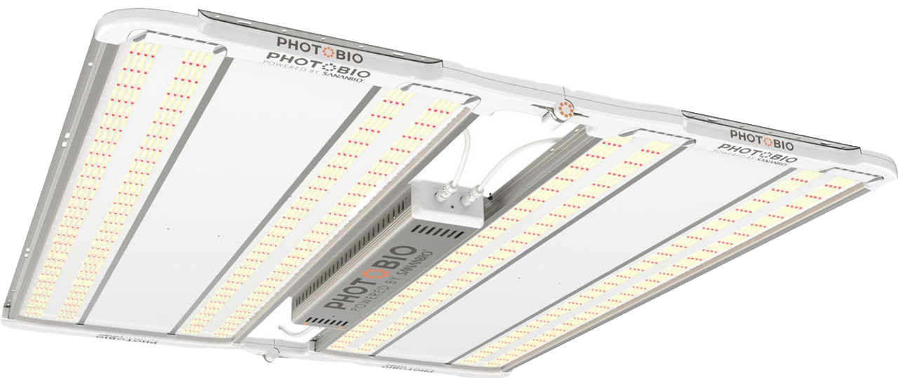 PHOTOBIO X6